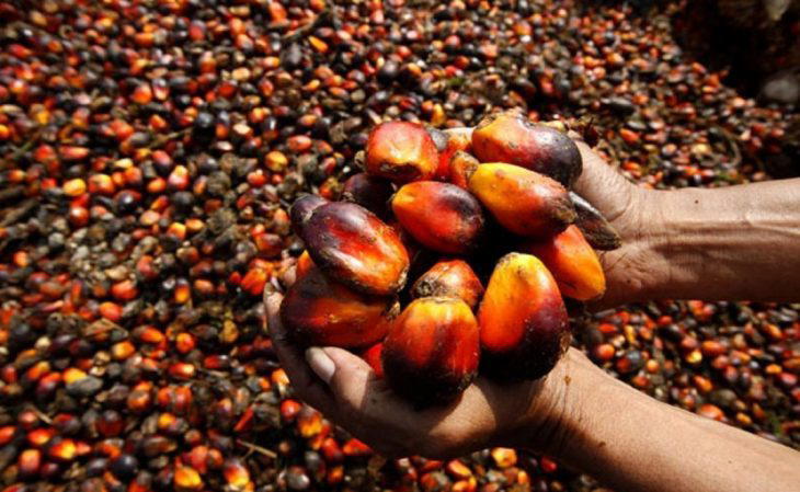 A market scene showing palm oil imports and local palm fruit, highlighting Nigeria's reliance on palm oil imports.