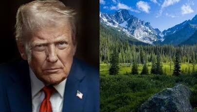 Trump opens national forests to roads and logging