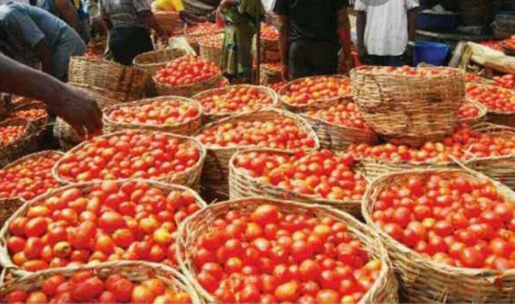A bustling Nigerian rural market scene at dawn, with farmers unloading produce from a truck, highlighting the food supply chain and inflation debate in 2026.