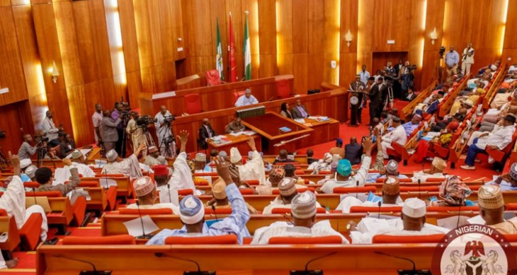 Empty Nigerian legislative chamber with flag, representing the state police amendment debate