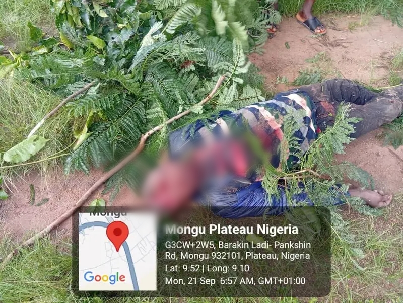 Rural village landscape in the Middle Belt region of Nigeria at early morning