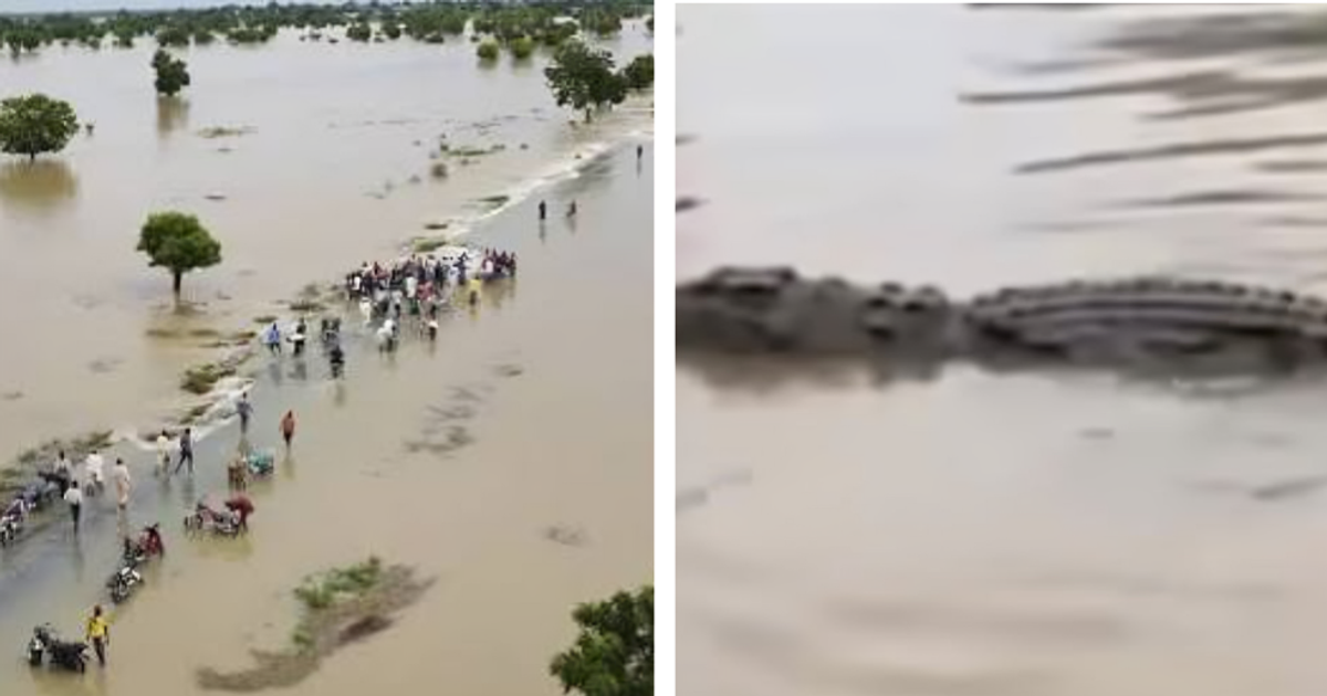 Flooded streets of Rivers State with wildlife emerging from water after severe 2026 flooding