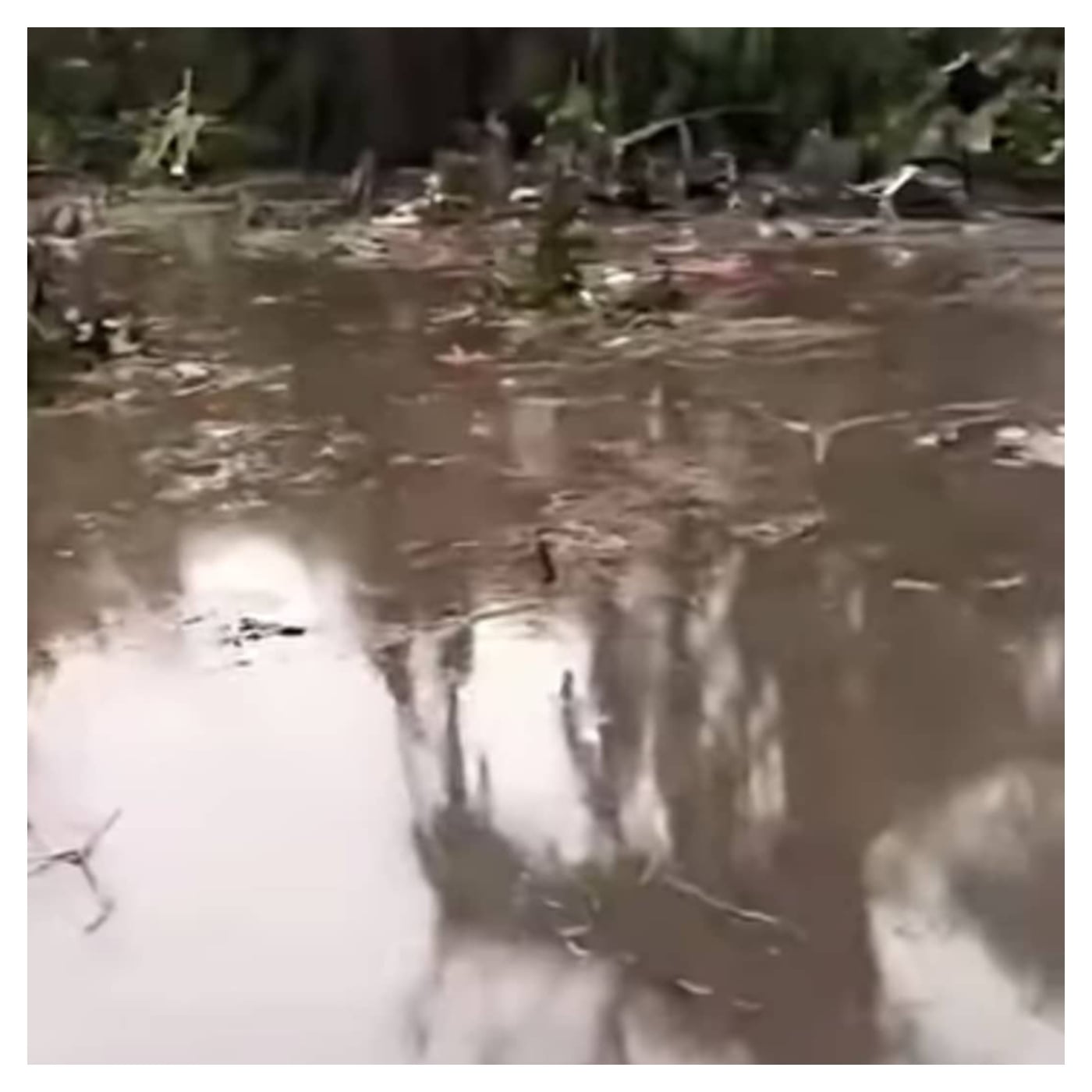 Swampy crash site in Igbokoda with submerged aircraft and rescue equipment