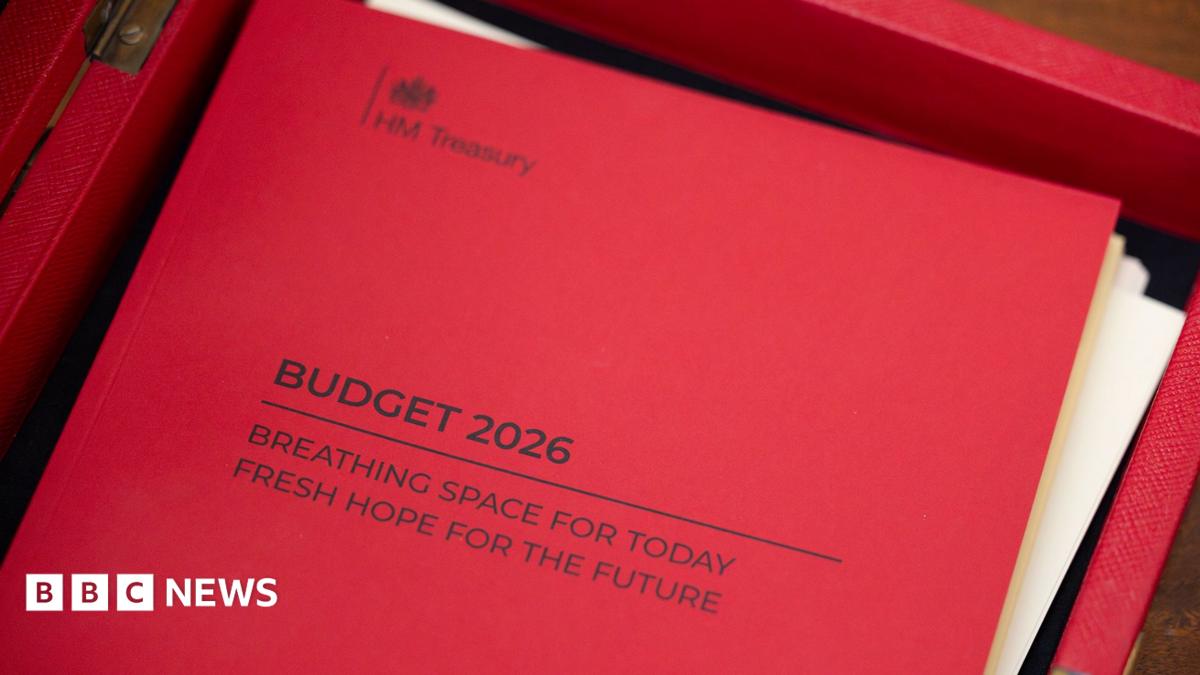 Illustration of a budget document and financial charts in a parliamentary setting